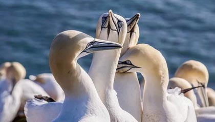 开yun体育-热火大胜尼克斯，全明星赛前哨战中巴特勒三分雨不断，热火巴特勒合同