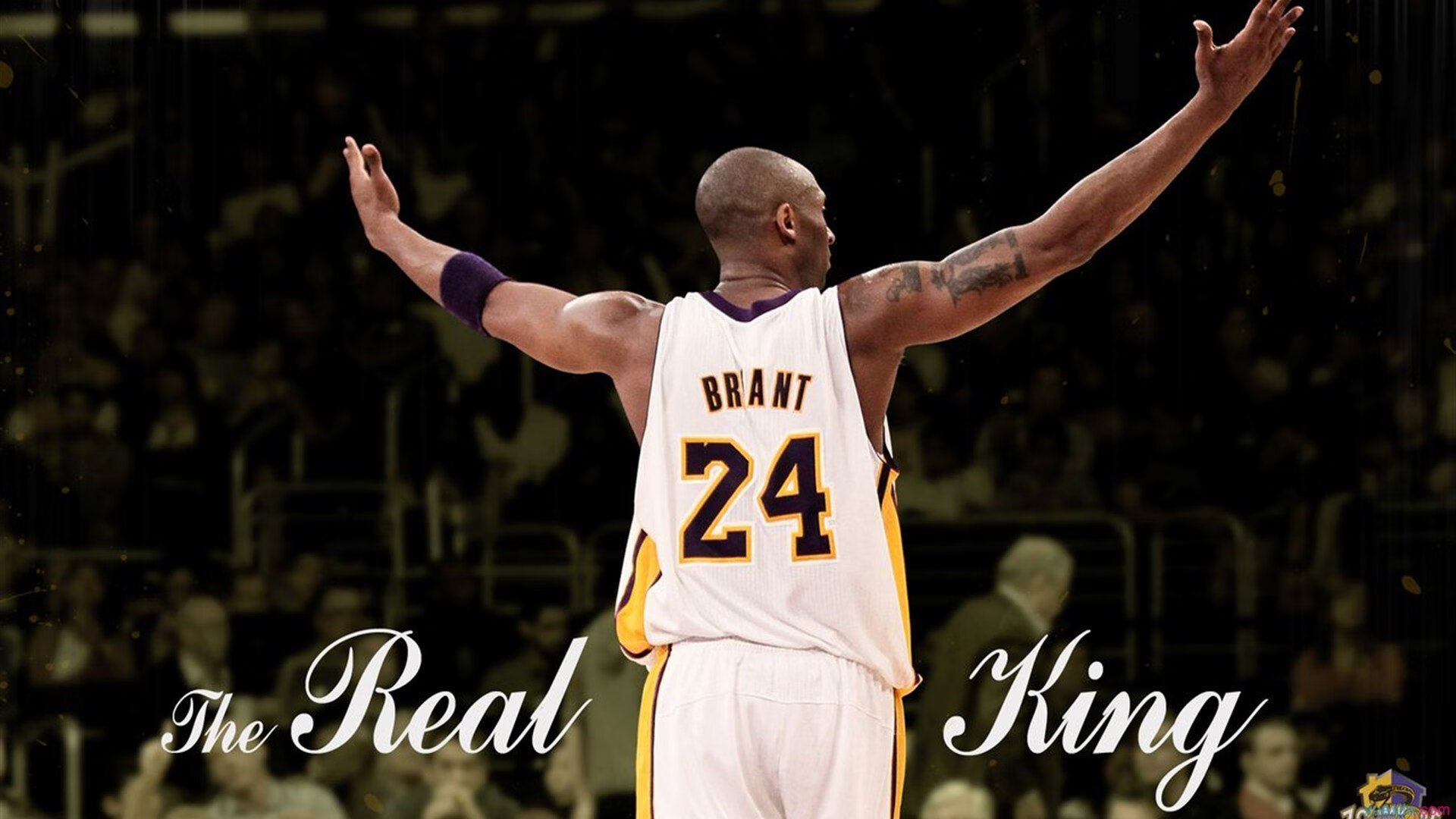 湖人双加时险胜太阳，詹眉合力砍下70分，湖人詹加强